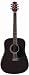 Jasmine S341 Black Dreadnaught Acoustic Guitar with Hardshell Case
