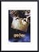 Harry Potter and the Sorcerer's Stone, Art Poster with Metal Frame, poster size: 11