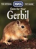 Care for your gerbil