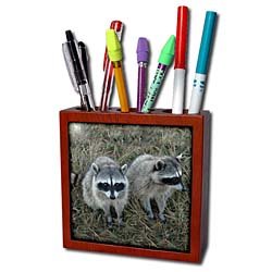 Wild animals - Two Raccoons - Tile Pen Holders-5 inch tile pen holder