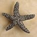 Anne At Home 869 Antique Gold Starfish Knob, Medium - 869