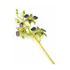 REAL FLOWER Dendrobium Orchid in Purple Yellow by 