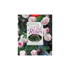 Gardening with Old Roses