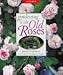 Gardening with Old Roses