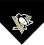 NHL Pittsburgh Penguins Fleece Throw Blanket