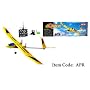 42" 2-Ch RC Radio Control Oriole Airplane