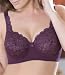 Elila Cheeky Stretch Lace Panty
