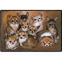 Chihuahua Dogs Indoor / Outdoor Designer Doormat