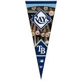 Tampa Bay Rays Official Logo Premium Pennant