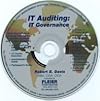 IT Auditing: IT Governance
