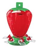 Art-Line 50 oz Strawberry feeder