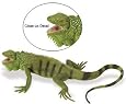 Safari LTD Iguana Adult