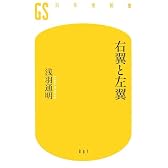 右翼と左翼 (幻冬舎新書)
