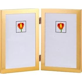 Dennis Daniels Aluminum Double Vertical Frame for Two 5 x 7 Photographs, Color: Gold.