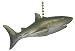 Nautical Great SharK TeetH Fin DeCoR Fan Light Pull