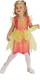 Rubies Costume Co. Magical Fairy Costume, 6 to 12 Months