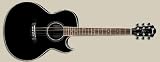 Ibanez JSA5-BK Joe Satriani Signature Acoustic