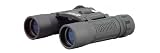 BUSHNELL POWERVIEW 10X25 CMP BINO Black Binoculars