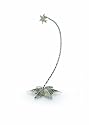 Wateford Holiday Heirlooms® Silver Star, Christmas Ornament Stand
