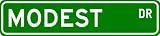 MODEST Street Sign ~ Personalized Family Lastname Sign ~ Gameroom, Basement, Garage Sign Novelty** METAL ALUMINUM