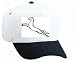 White Cap with black and white, horse, jumping, Africa, Egypt, Middle East, equine, animal