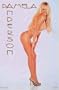 PAMELA ANDERSON POSTER - 22 X 34 MINT #8204
