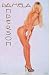 PAMELA ANDERSON POSTER - 22 X 34 MINT #8204