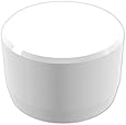 FORMUFIT  PVC External End Cap, Furniture Grade, 1" Size, White