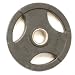 10lb Rubber Coated Grip Plate (EA)