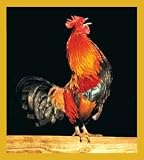 Rooster Fridge Magnet
