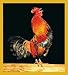 Rooster Fridge Magnet