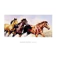 Wild and Free - Fine Art Print - 90x60cm - Art247 Poster Print