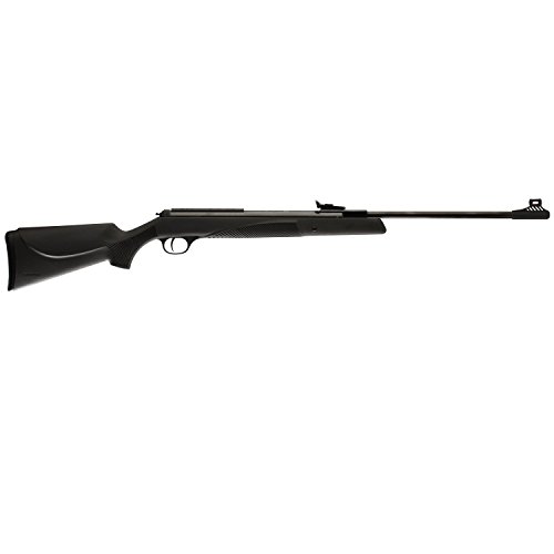 Umarex usa rws 34-p black synthetic, .177 pellet w/fibe…