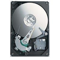 Seagate BARRACUDA 7200.9 300 GB interne Festplatte ATA