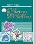 Atlas of Lymphoid Hyperplasia and Lymphoma