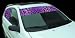 Exterior Mounted Solid Vinyl Visorscapes - Leopard Spotz-Hot Spotz 66 x 12