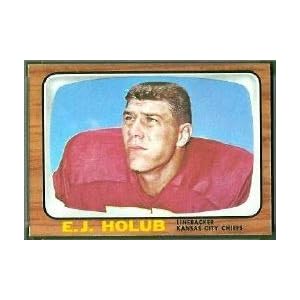 e j holub