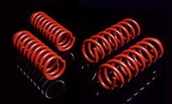 Coil Springs - Skyjacker D25 Coil Springs