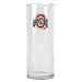 Ohio State Buckeyes NCAA 9 Flower Vase - Primary Logo