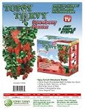 Topsy Turvy Strawberry Planter