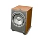 JBL E150PCH 10" 150 Watt Front-firing Powered Subwoofer