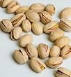 Fruiting Pistachio Trees Set of Two