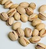 Fruiting Pistachio Trees Set of Two