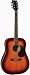 J. Reynolds Dreadnought Acoustic Guitar - Antique Burst