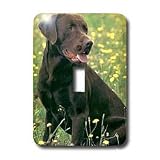 Dogs Labrador Retriever - Chocolate Labrador Retriever - Light Switch Covers - single toggle switch