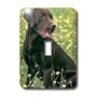 Dogs Labrador Retriever - Chocolate Labrador Retriever - Light Switch Covers - single toggle switch