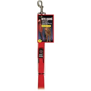 LED Lighted Nylon Safety Dog Leash by Nite Ize - Red by 
