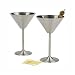 Endurance Martini Glasses Set of 2 Stainless Steel by RSVP