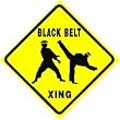 BLACK BELT CROSSING martial art karate sign