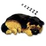 LIFE LIKE GERMAN SHEPHERD PUPPY